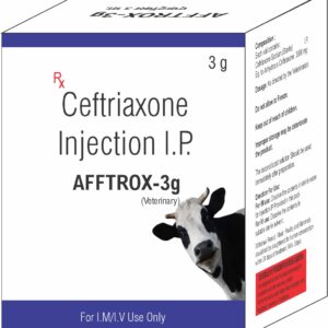 CEFTRIAXONE INJECTION + WFI 3GM