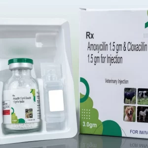 AMOXYCILLIN 1.5 GM & CLOXACILLIN 1.5 GM INJECTION (VET).