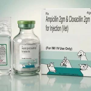 AMPICILLIN 2GM & CLOXACILLIN 2GM FOR INJECTION (VET).