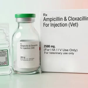 AMPICILLIN & CLOXACILLIN FOR INJECTION 2500MG (VET).