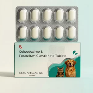 CEFPODOXIME & POTASSIUM CLAVULANATE TABLETS 1X10 (VET).