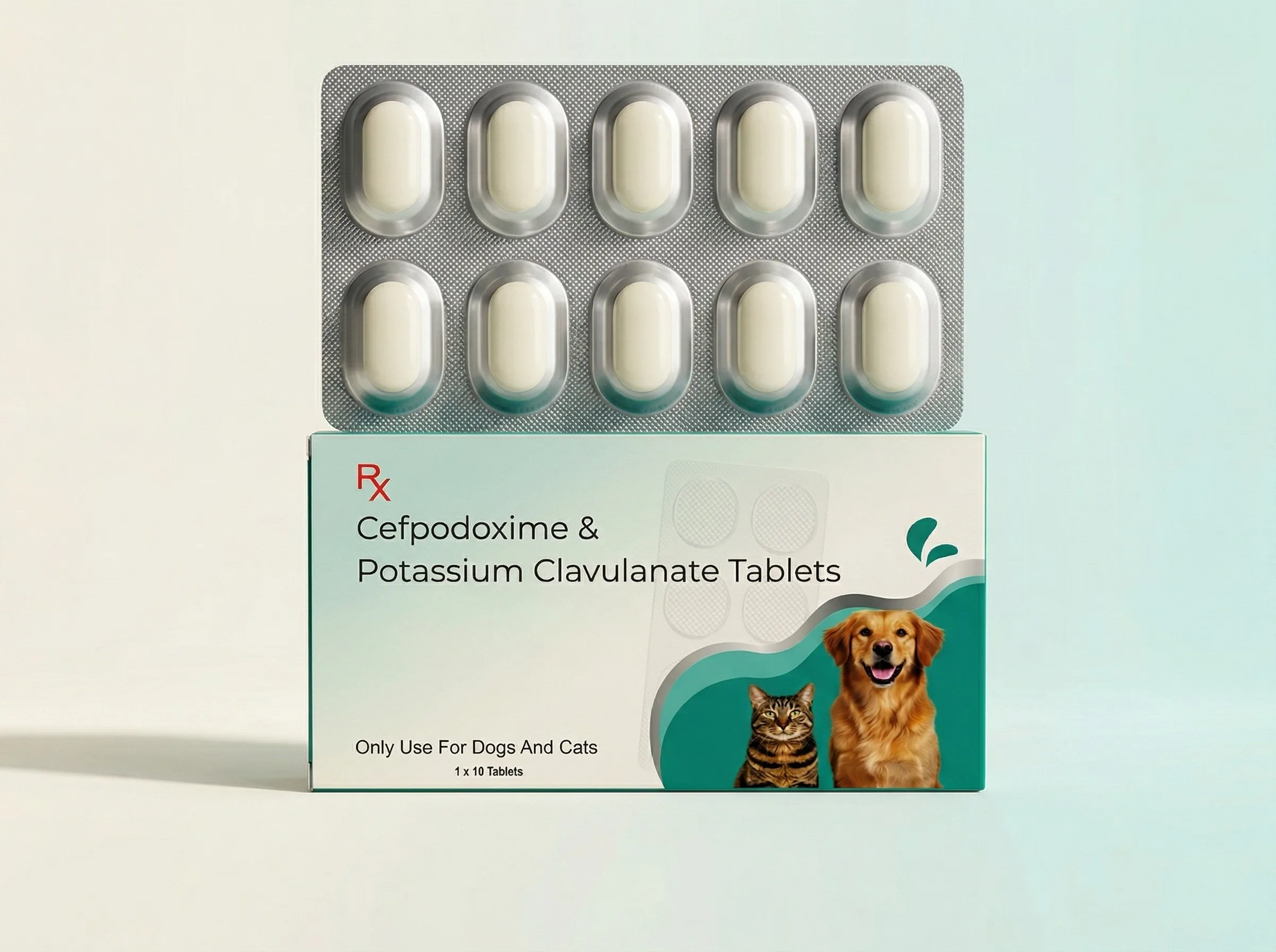CEFPODOXIME & POTASSIUM CLAVULANATE TABLETS 1X10 (VET).