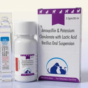 AMOXYCILLIN & POTASSIUM CLAVULANATE WITH LACTIC ACID BACILLUS ORAL SUSPENSION 3.3GM / 30ML