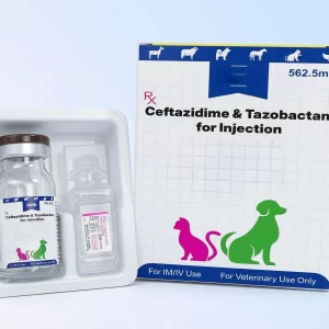 Ceftazidime and Tazobactam for Injection 562.5 MG