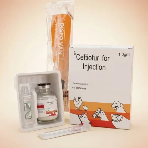 CEFTIOFUR FOR INJECTION 1.0 GM